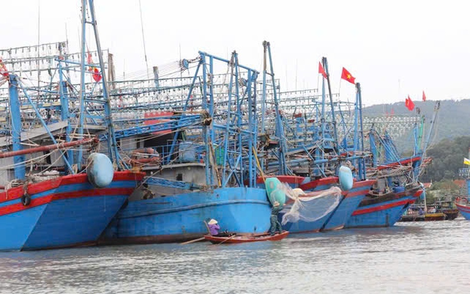 Nghệ An quyết liệt thực hiện các giải pháp chống khai thác IUU