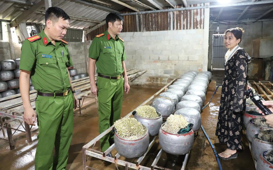 Hà Tĩnh: Lại phát hiện cơ sở dùng “nước kẹo” sản xuất giá đỗ bán ra thị trường