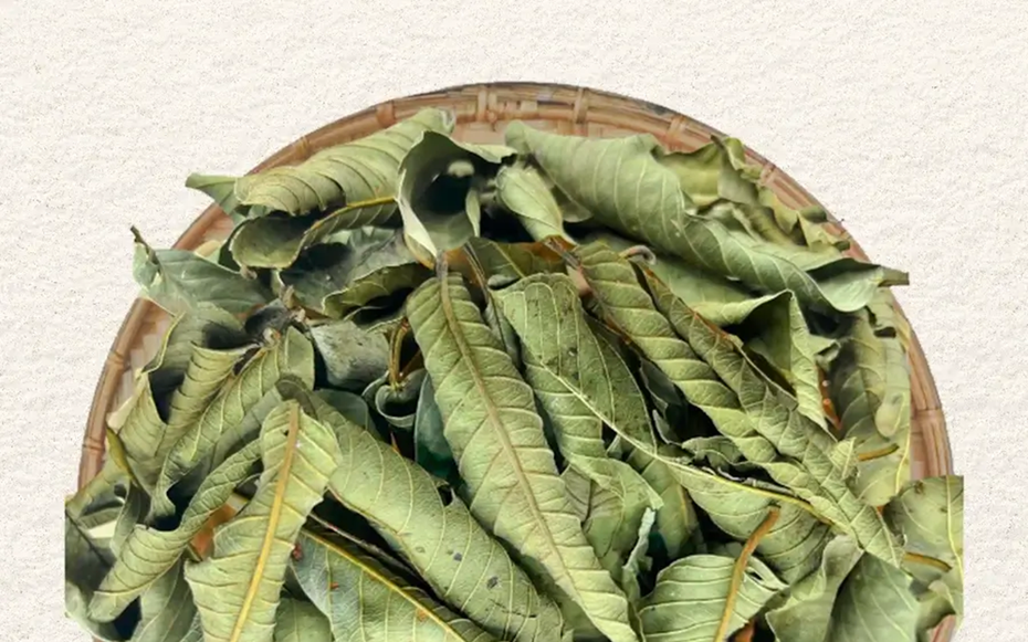 Đừng chỉ ăn quả, lá loại cây này quý như "nhân sâm của người nghèo", nhiều người không biết thường bỏ phí