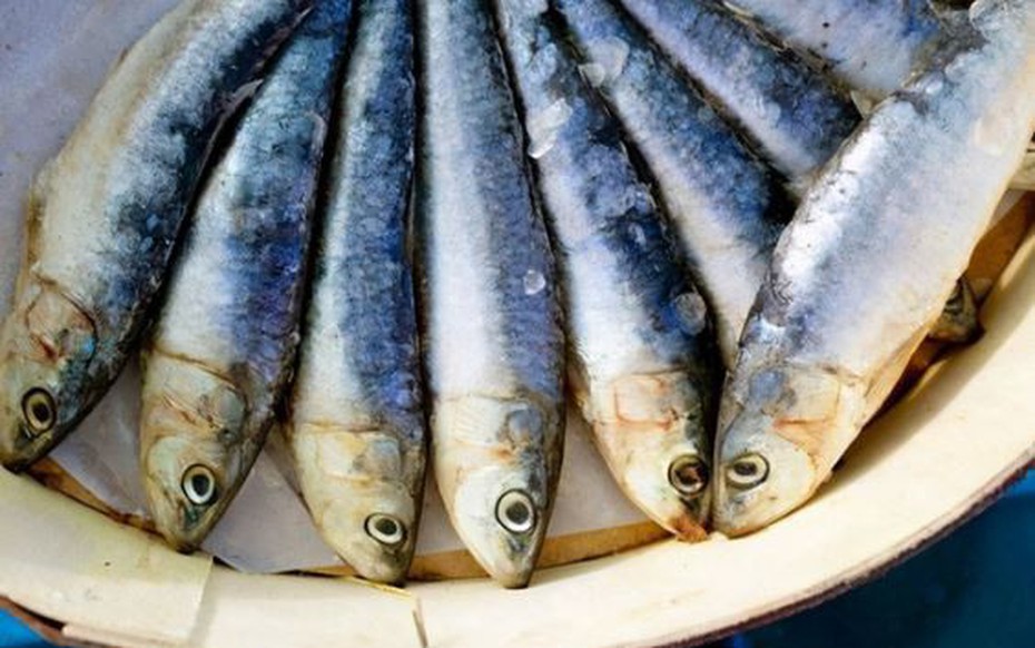 Loại cá dễ gây ung thư bậc nhất, nhiều người không biết vẫn ăn hàng ngày