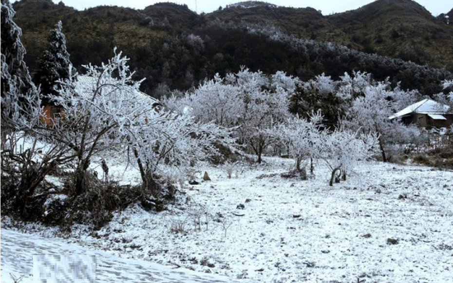 Dự báo thời tiết 11/1: Miền Bắc đón đợt không khí lạnh rất mạnh, dự báo nơi rét đậm nhất