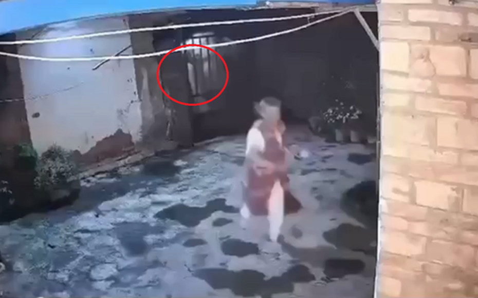 Đang đứng ngoài sân, cụ bà bất ngờ thấy cảnh tượng "nổi da gà" giữa đêm