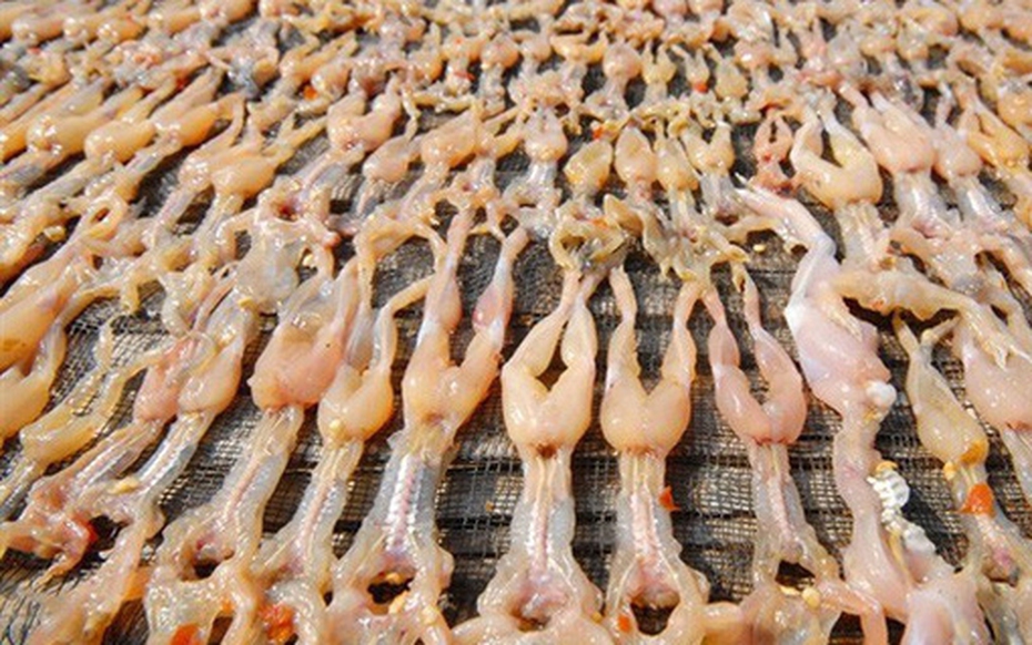 "Vũ nữ chân dài" giá hơn nửa triệu đồng/kg vẫn hút khách dịp Tết