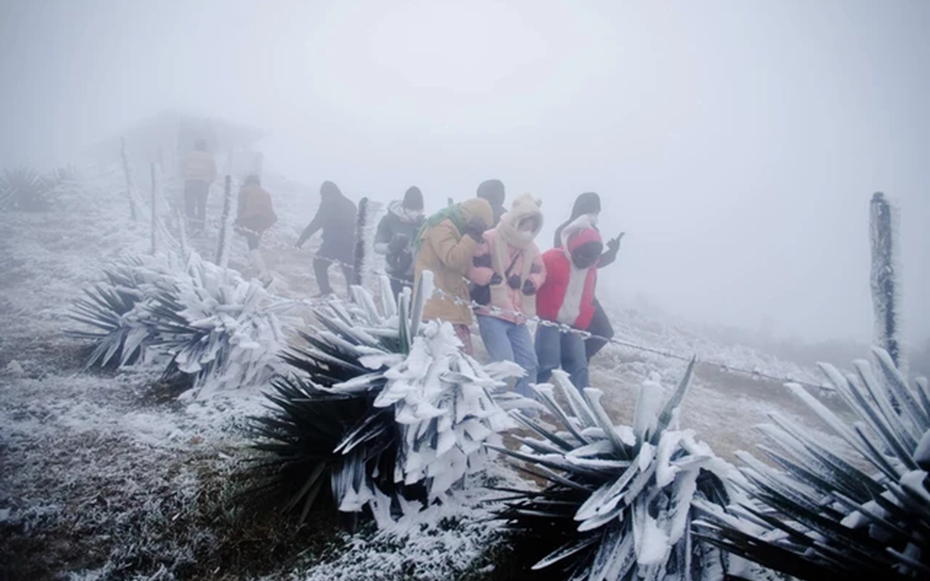 Miền Bắc sắp đón không khí lạnh cực mạnh, bỏ túi ngay 3 "thần dược" tốt cho sức khỏe ngày gió mùa