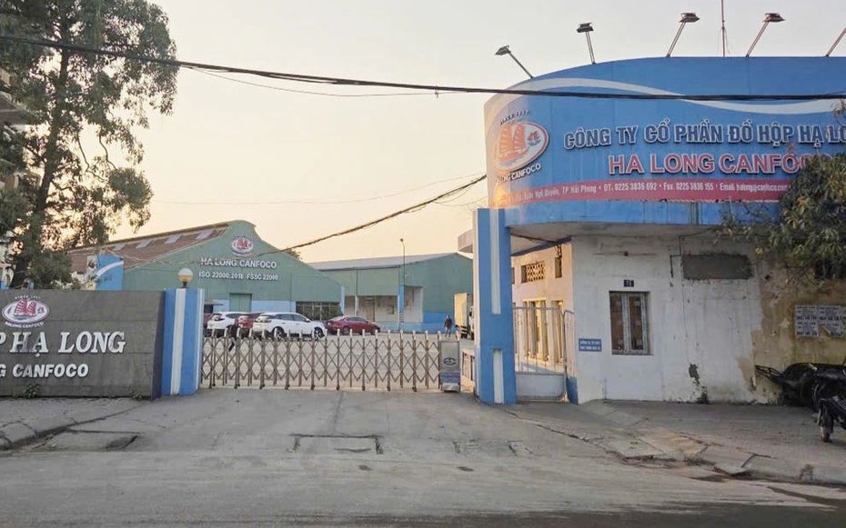 Khởi tố Tổng giám đốc Đồ hộp Hạ Long liên quan 130 tấn thịt nhiễm dịch tả lợn châu Phi