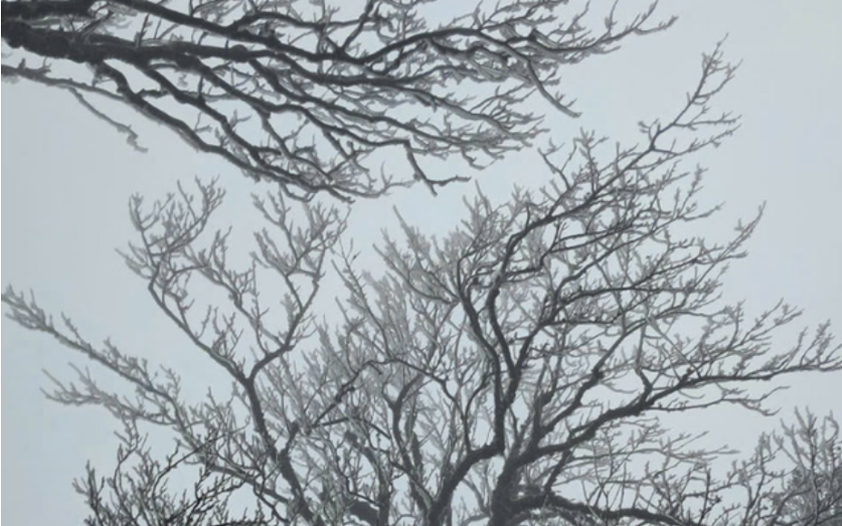 Miền Bắc rét đậm khi đón đợt không khí lạnh cường độ mạnh trên diện rộng