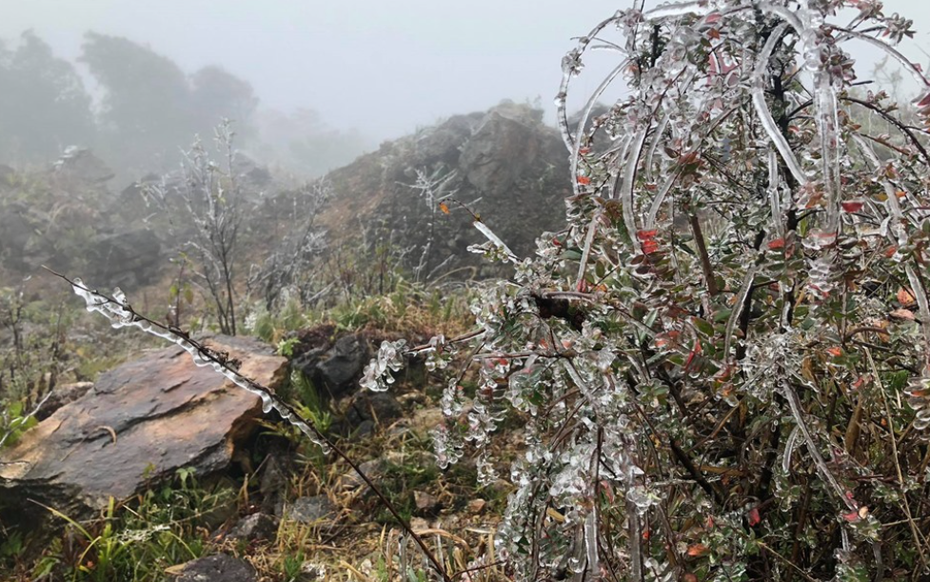 Dự báo thời tiết 19/1: Không khí lạnh mạnh tăng cường, miền Bắc rét đậm dưới 6 độ