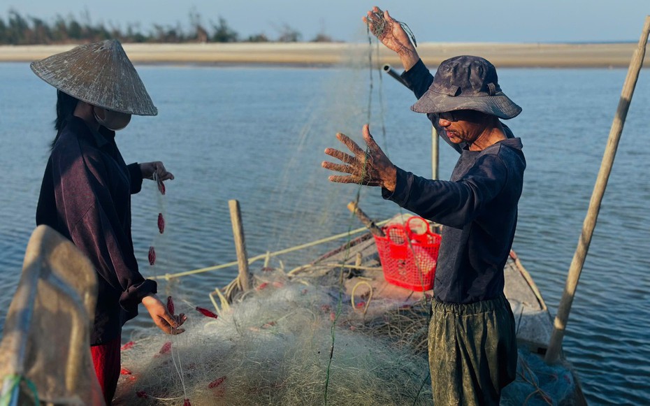 Ngư dân Hà Tĩnh trúng đậm hàng trăm tấn "lộc trời", "đút túi" tiền triệu mỗi ngày