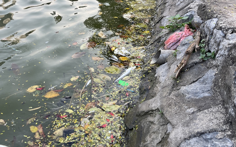 Hồ điều hòa Mai Dịch ngập rác, môi trường xuống cấp nghiêm trọng