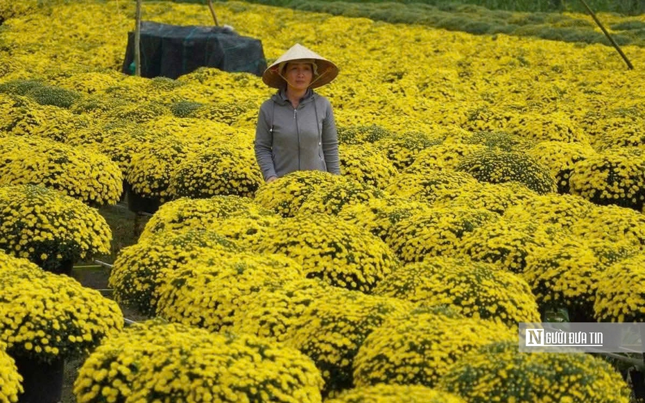 Không để nông dân đơn độc giữa mùa hoa Tết nở sớm