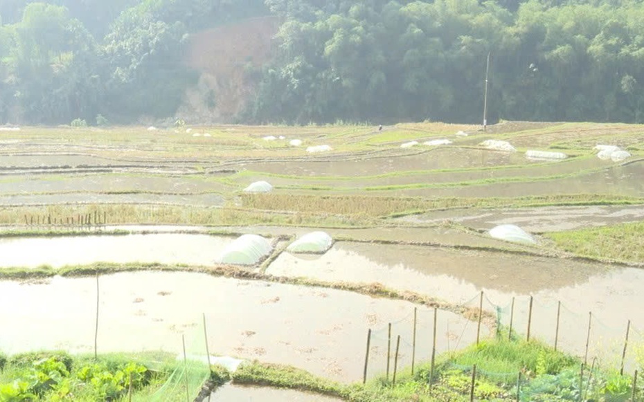 Nhịp sống hồi sinh nơi biên giới Tam Thanh sau mưa lũ