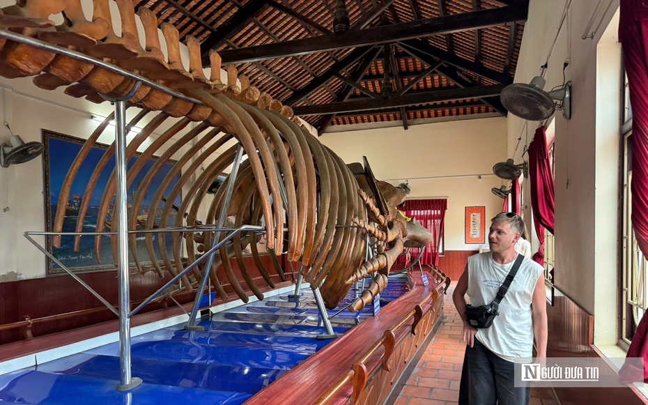 Choáng ngợp trước bộ xương cá voi 22m lớn nhất Đông Nam Á