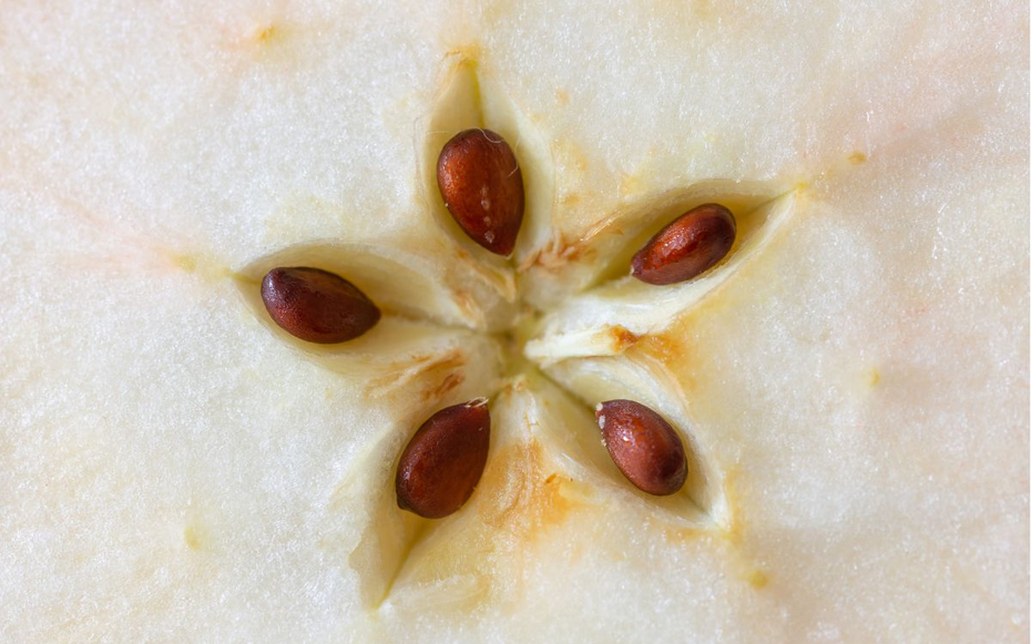 Loại quả chứa chất "kịch độc", quả số 1 mâm cơm nhà nào cũng có