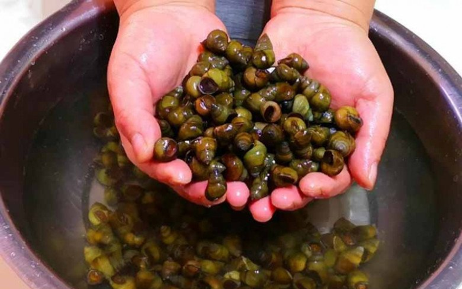 "3 nên 2 không" khi chọn ốc ngon không lo ngậm hóa chất