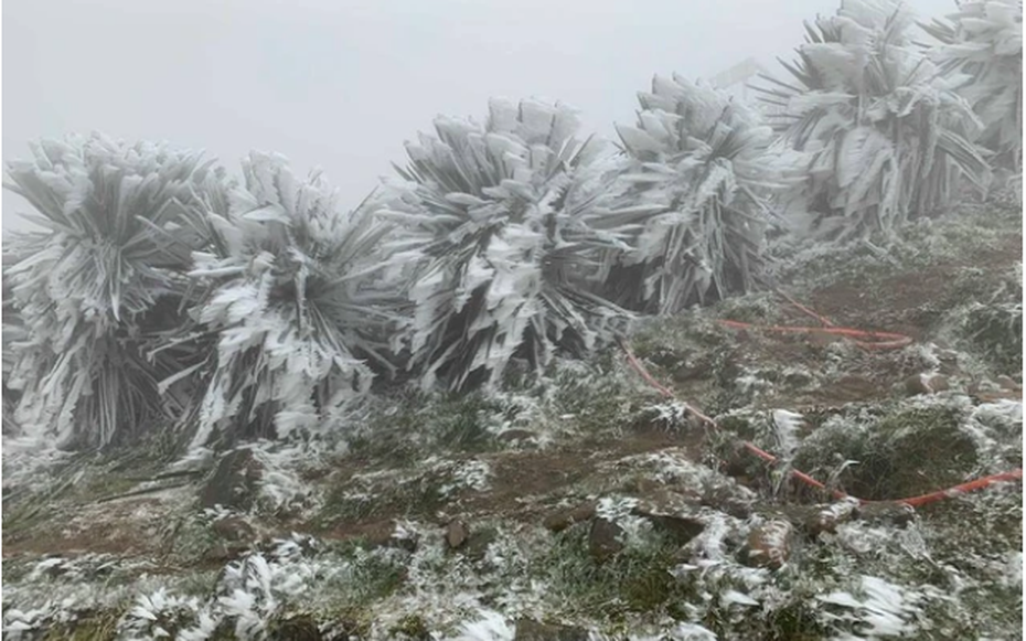 Miền Bắc liên tiếp đón không khí lạnh cực mạnh, trời rét đậm