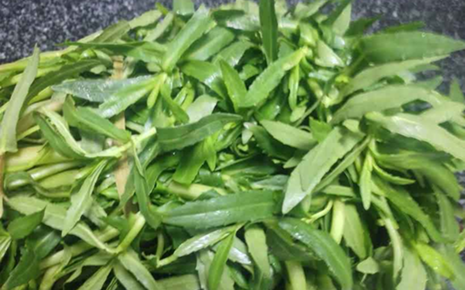 2 loại rau "khoái khẩu" của người Việt mùa se lạnh dễ là "ổ sán", nhất là cái số 1 ngoài chợ có đầy