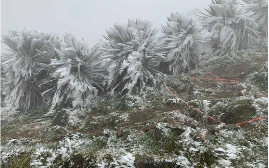 Dự báo thời tiết 8/1: Không khí lạnh tiếp tục tăng cường, miền Bắc rét đến khi nào?