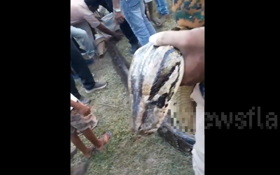 Đang làm việc, người phụ nữ hoảng sợ thấy cảnh tượng "nổi da gà"