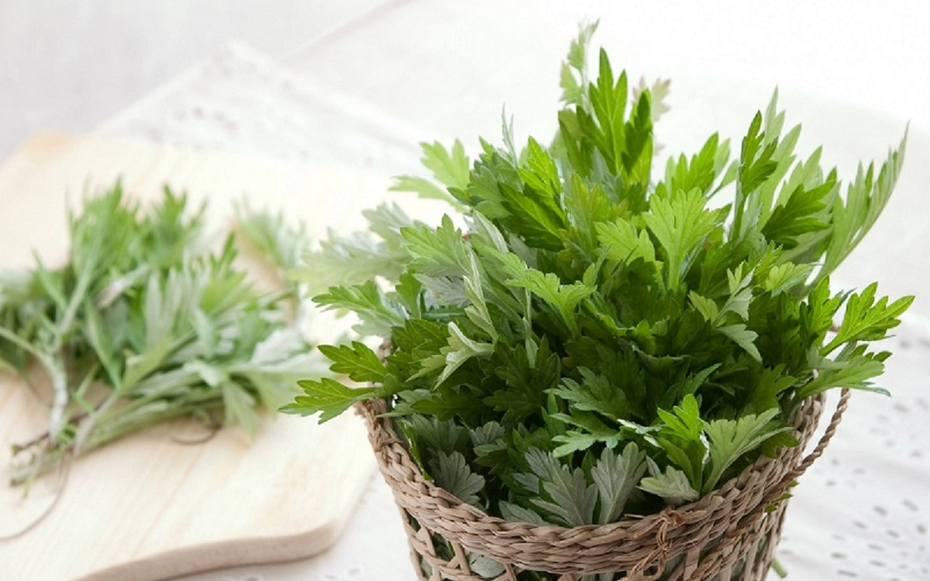 Có sẵn ngải cứu trong bếp, đừng bỏ qua 2 món ăn dân dã tốt cho sức khỏe