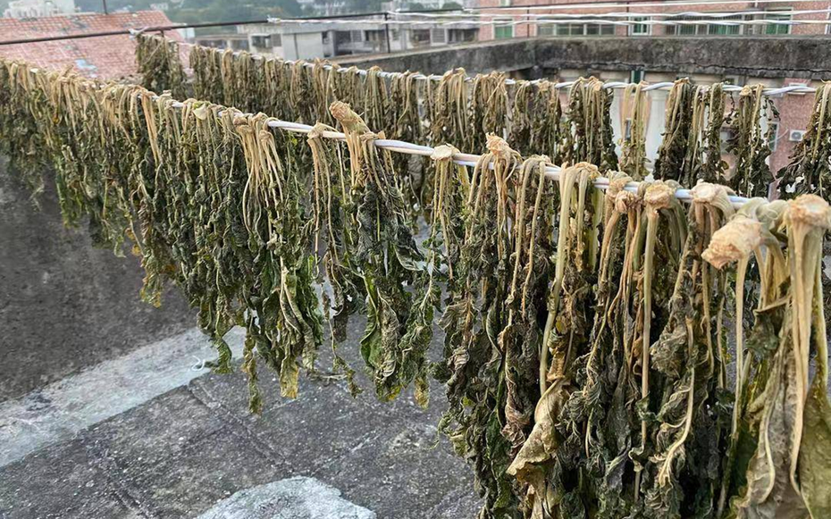 Đừng chỉ ăn củ, lá loại cây này được ví như "chổi quét" tự nhiên cho đường ruột