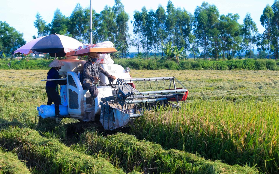 Chủ tịch Hà Nội: Không để người nông dân bị bỏ lại phía sau trong quá trình đô thị hóa