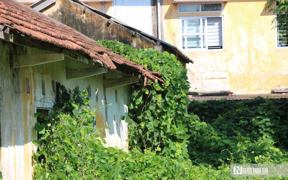 Hiện trạng khu nhà đất công gần 6.000m² ở Huế vừa đổi chủ quản sau thời gian dài xuống cấp