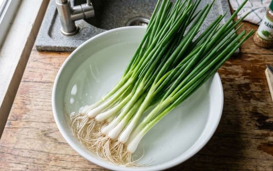 Mẹo bảo quản hành lá tươi trong tủ lạnh cả tháng, không lo héo úa