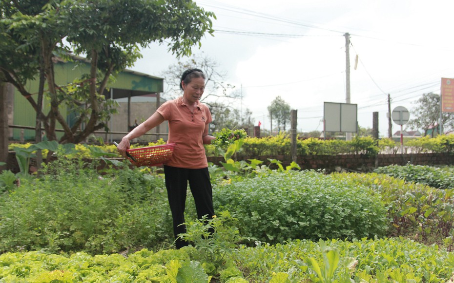 Người dân vùng lũ Hà Tĩnh ổn định cuộc sống, sẵn sàng đón Tết