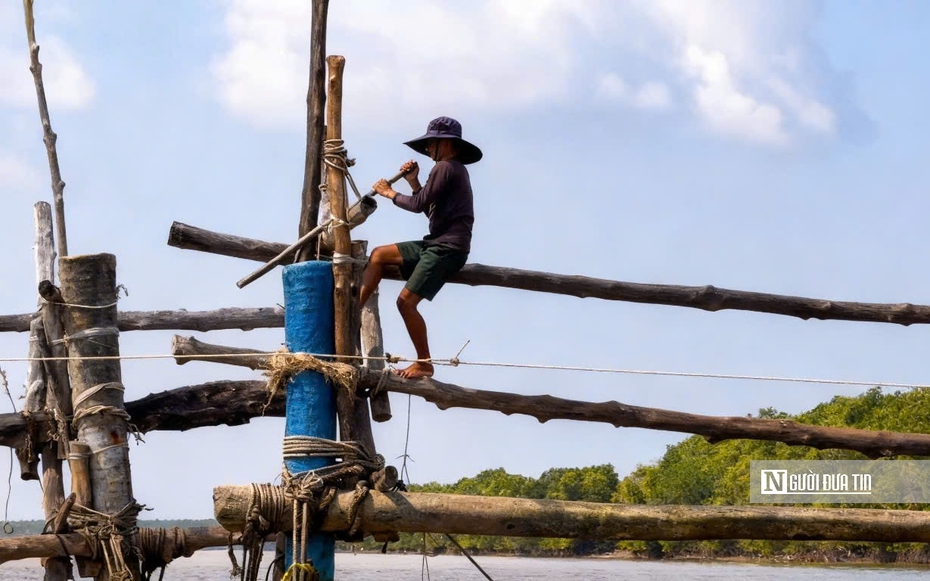 Theo chân ngư dân Đất Mũi mưu sinh bằng nghề đóng đáy