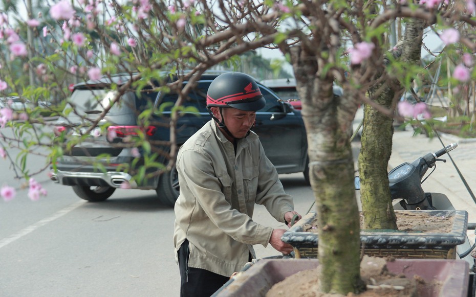 Lao động kiếm tiền triệu bằng nghề “chở Tết về nhà”