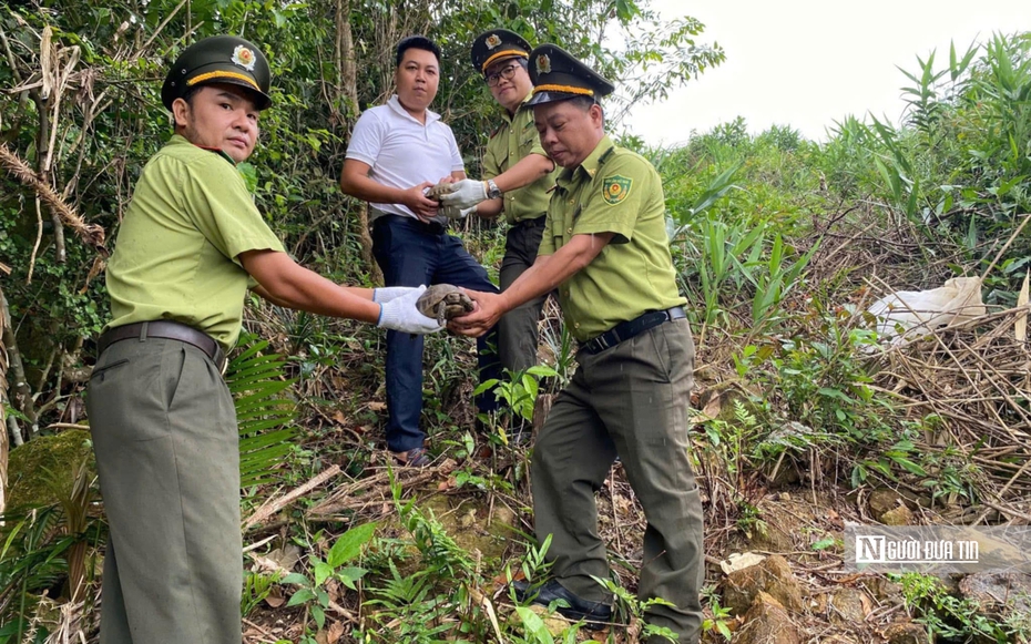 Gian nan hành trình bảo vệ các loài động vật hoang dã ở Huế