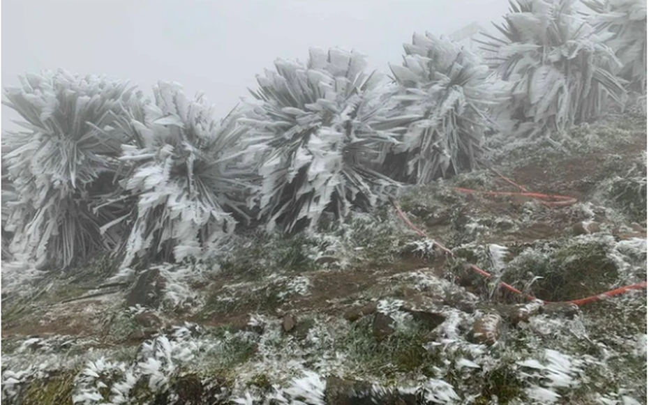 Dự báo thời tiết 4/2: Miền Bắc đón không khí lạnh dồn dập, trời rét đậm, sương mù bao phủ