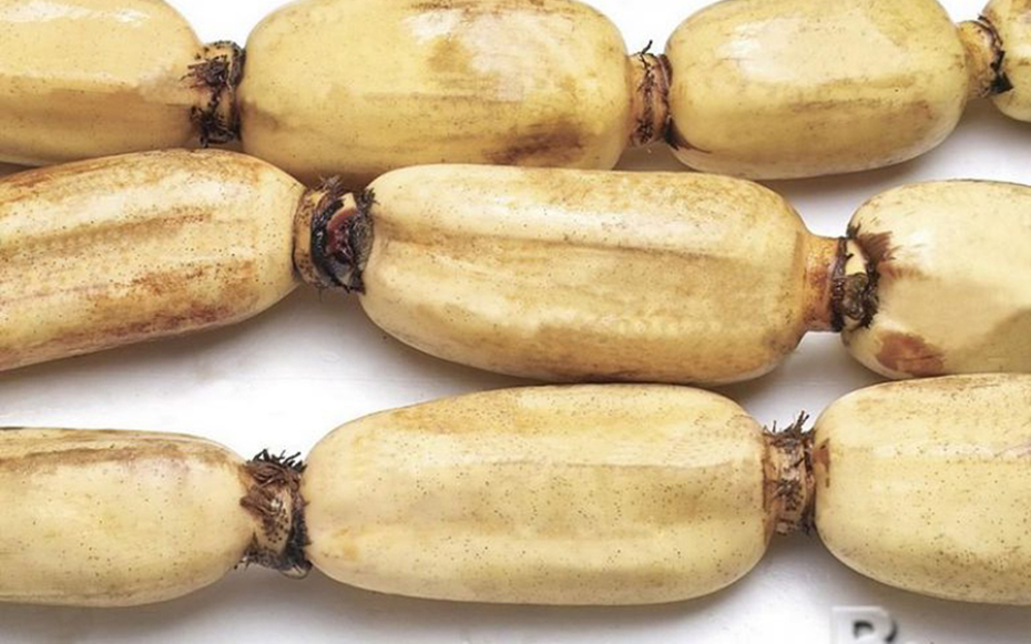 2 loại củ dễ là “ổ ký sinh trùng" mắt thường không thấy được, loại đầu bảng nhiều người mê
