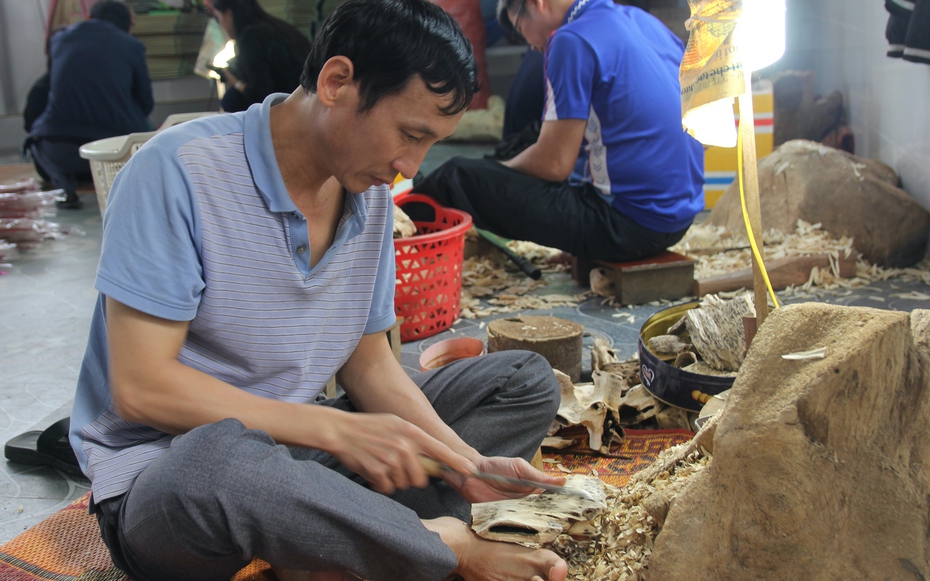 Ngát hương Xuân nơi “thủ phủ” dó trầm