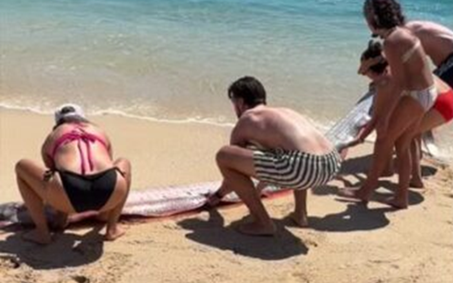 Đang dạo biển, người dân phát hiện cảnh tượng "bí ẩn" ập đến bất ngờ