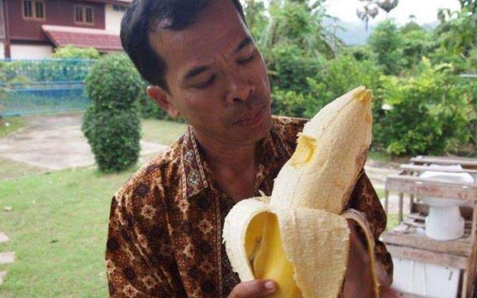 Giống chuối "khổng lồ" kỳ lạ nhất thế giới, cây cao gần bằng tòa nhà 8 tầng, ăn một quả no cả ngày