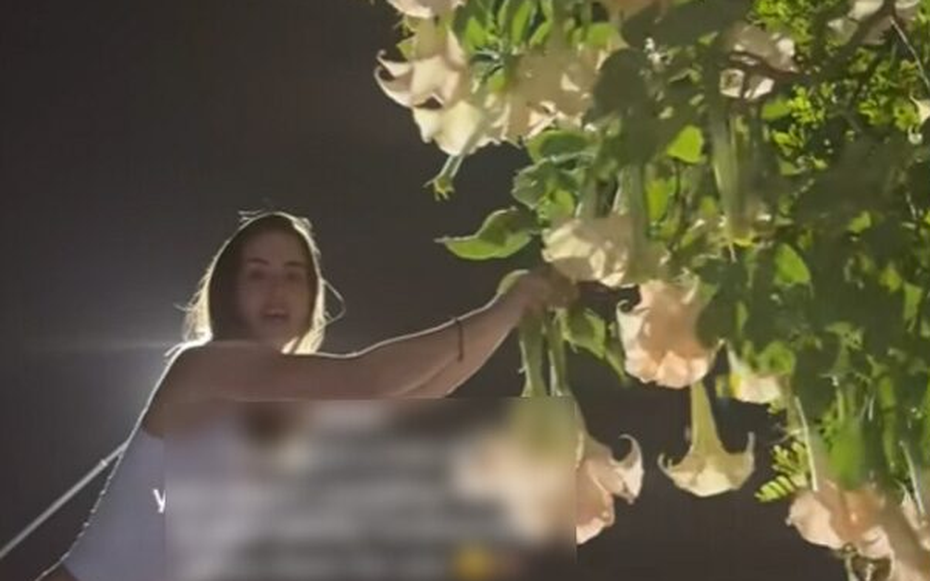 Cô gái hái hoa "cực độc" tặng bạn thân và cái kết