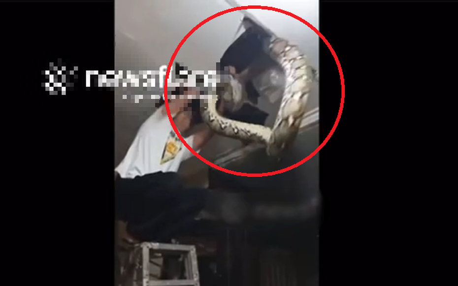 Nhìn lên trần nhà, người đàn ông thấy thứ "đáng sợ" giữa đêm