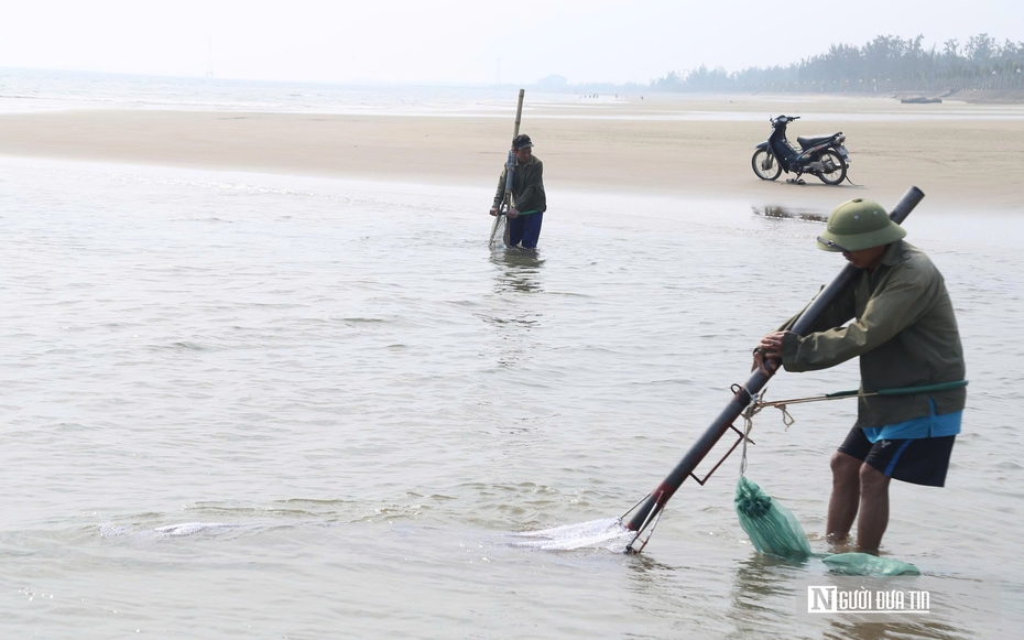 Cận cảnh nhọc nhằn nghề khom lưng trong sóng biển kiếm ngao mưu sinh