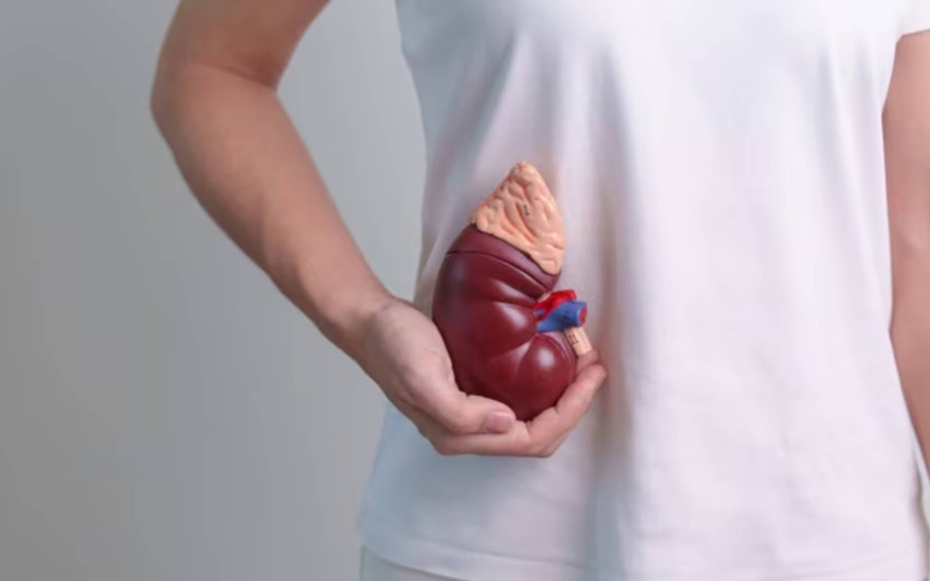 6 thói quen “cực hại thận”, nhiều người làm mỗi ngày mà không biết