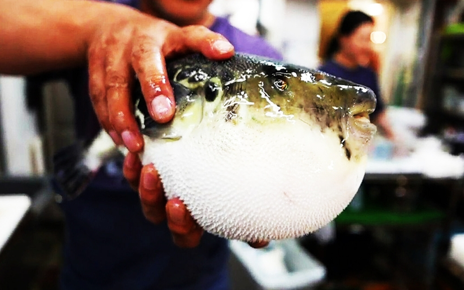 Bắt loại cá quen thuộc trong vườn nhà ăn, 3 người tê lưỡi nguy kịch