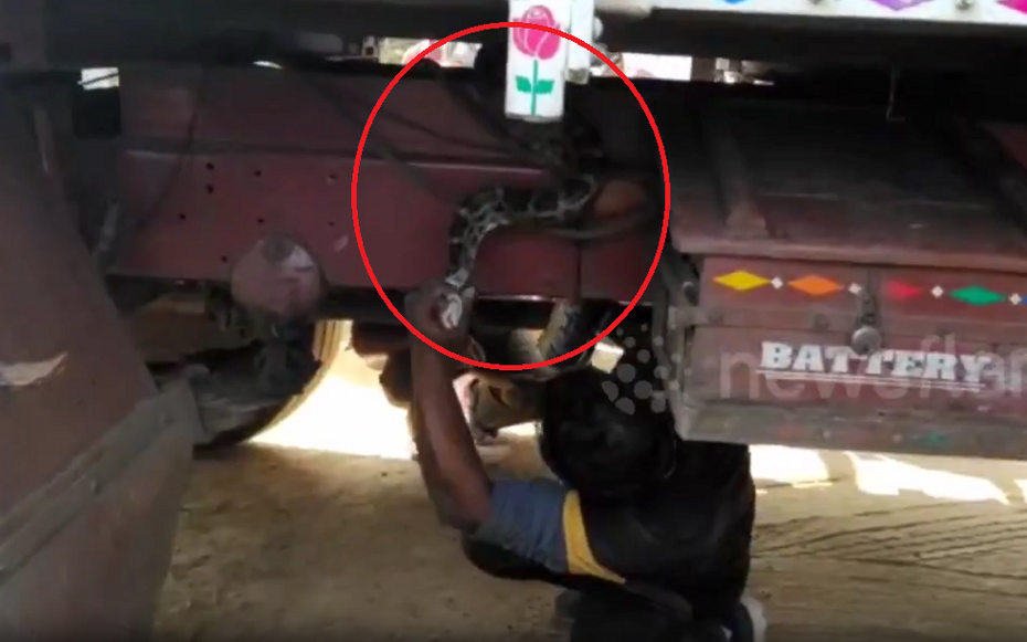 Nhìn xuống gầm xe, người đàn ông bủn rủn chân tay phát hiện cảnh tượng "nổi da gà"