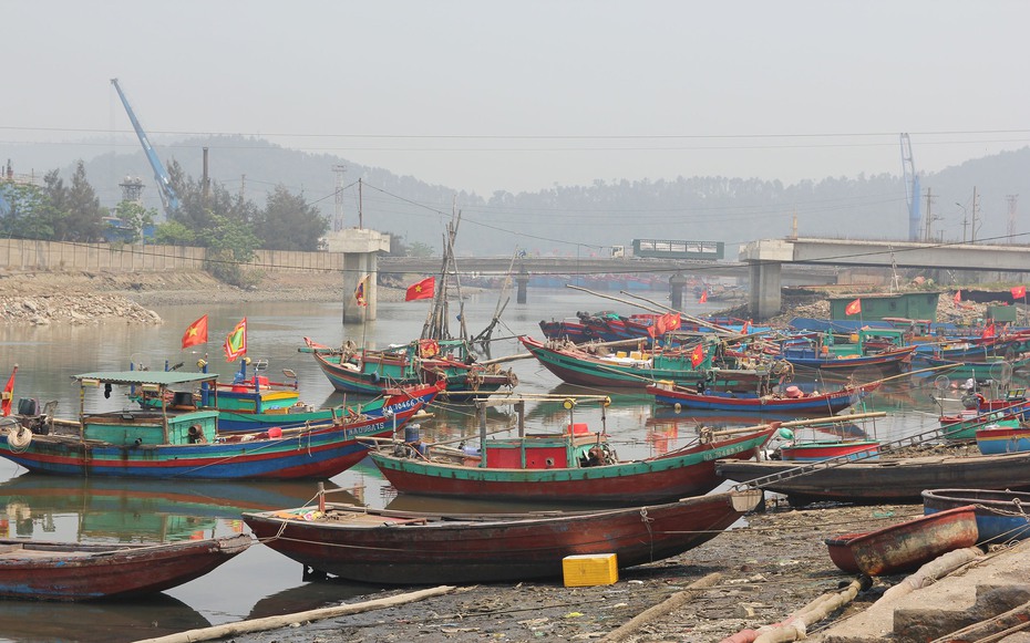 Ngư dân chật vật giữa mùa cá: Ra khơi lo lỗ, ở bờ lo đói