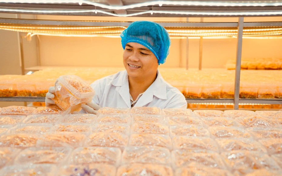 Chàng thạc sĩ bỏ phố về quê, bắt đầu khởi nghiệp bằng loài nấm "đắt đỏ"