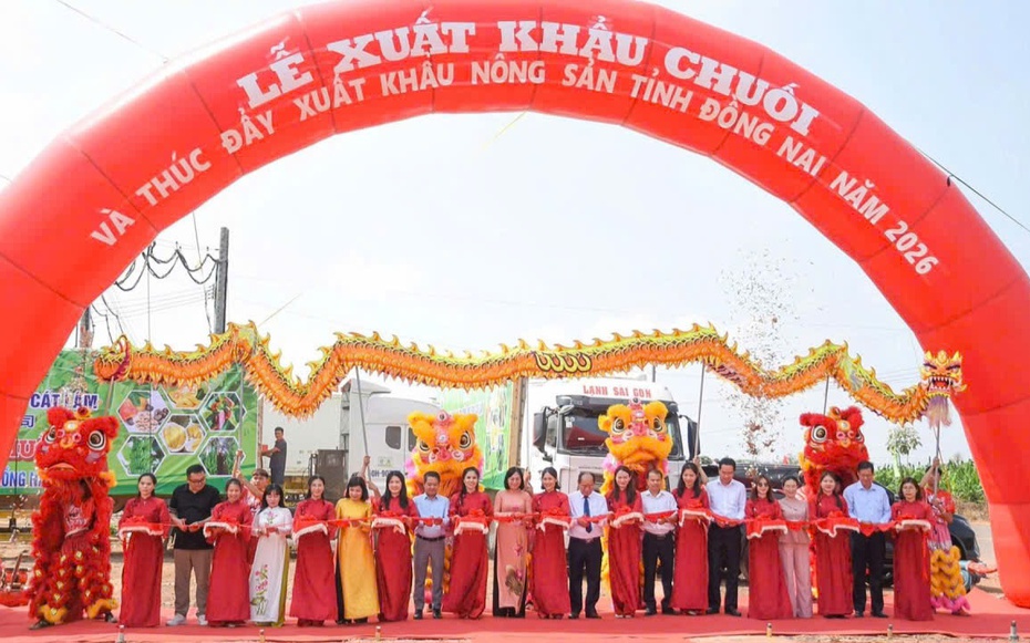 Đồng Nai xuất khẩu 220 tấn chuối, mở rộng thị trường nông sản năm 2026