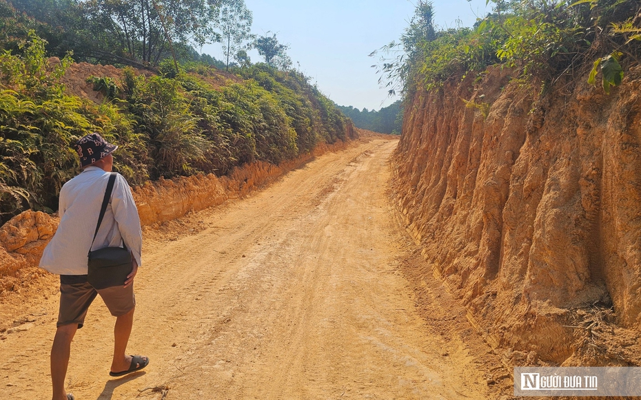 Chủ rừng kiến nghị cho tiếp tục khai thác gần 40ha rừng không hồ sơ pháp lý ở Huế