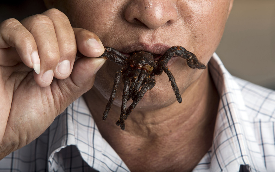 Món ăn kinh dị nhất thế giới: "Nhắm mắt" thưởng thức đặc sản nghe tên đã rùng mình