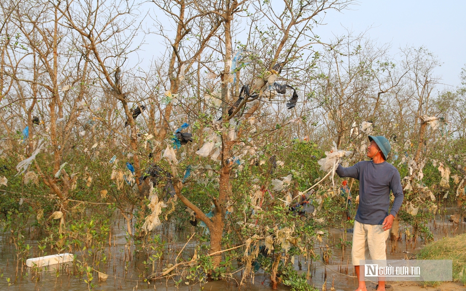 Cận cảnh cánh rừng bần nguyên sinh ngập ngụa trong lượng rác khổng lồ
