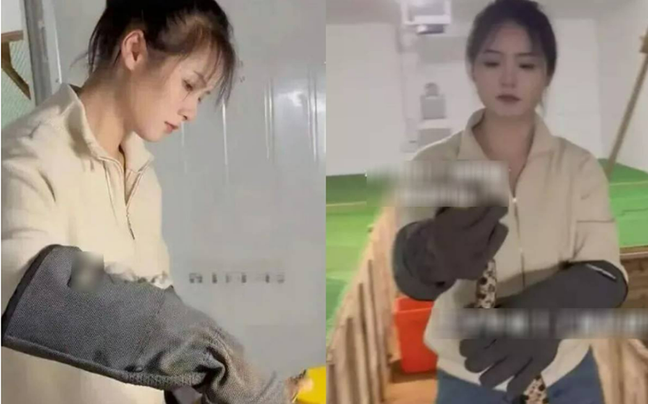 Bỏ phố về quê cùng bố nuôi 60.000 con rắn "độc", cô gái xinh đẹp kiếm 3,8 tỷ/năm
