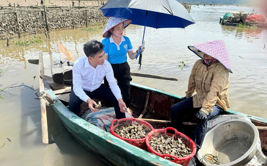 Độc đáo nuôi hàu trên dây, “đút túi” nửa triệu mỗi ngày